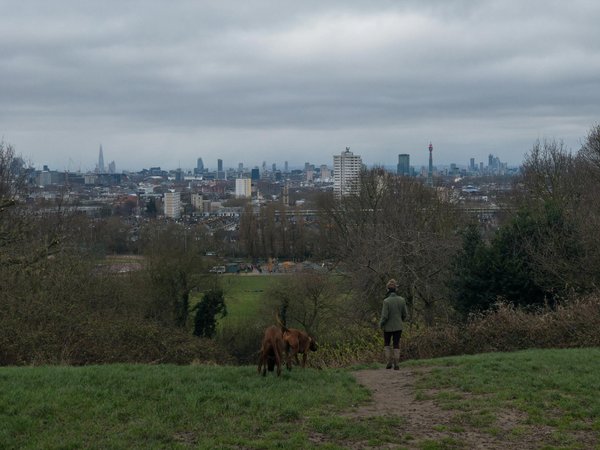 Que faire après la mort de son animal ? conseils et démarches