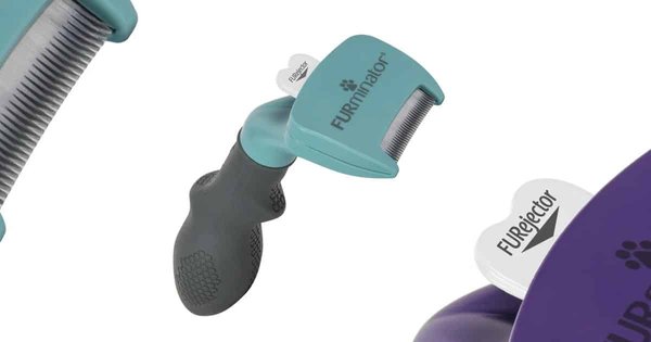 Ce qu'il faut savoir sur la brosse furminator chat