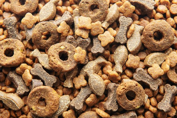 Les avantages principaux des croquettes extra Furet pour la santé et le bien-être des furets